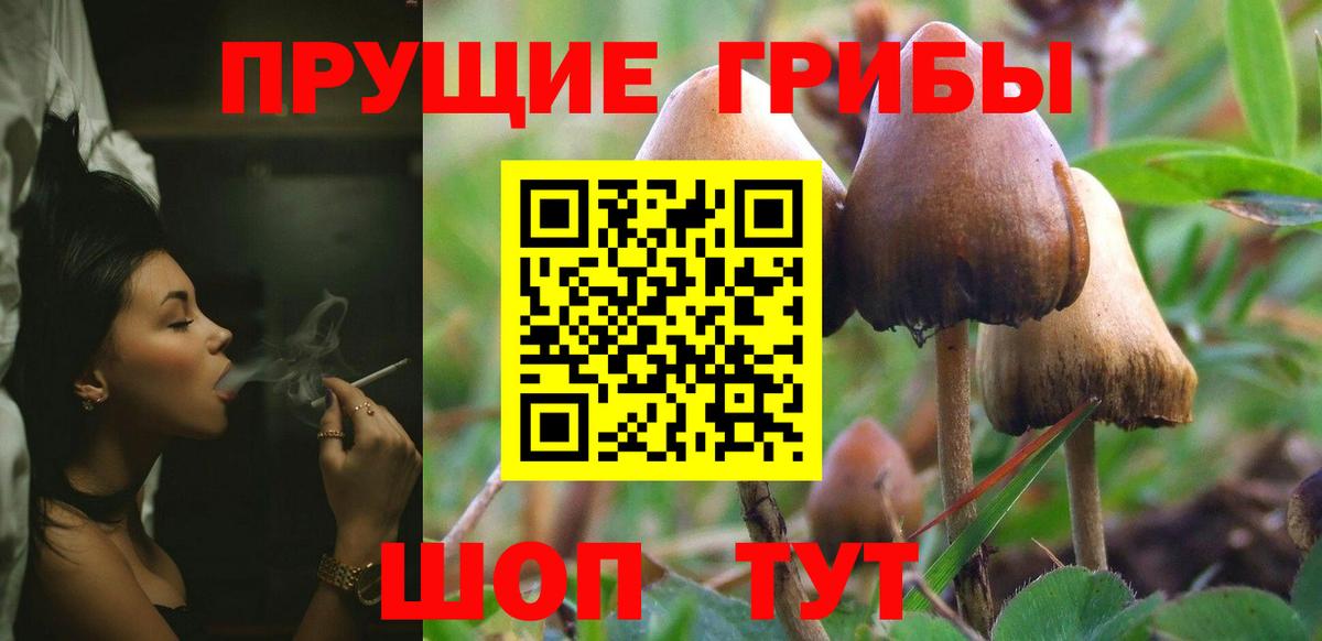 Галлюциногенные грибы мицелий Лянтор